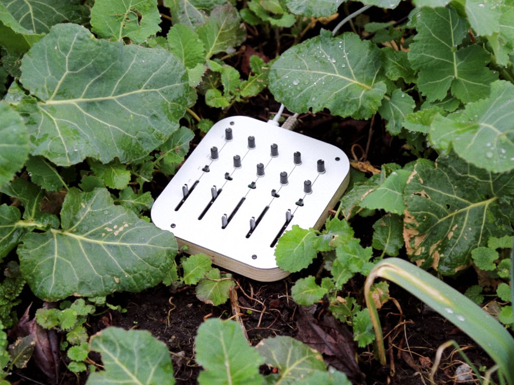 A photo of OVUM, a synthesizer made of aluminum and wood, on soil surrounded by plants